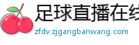 足球直播在线观看免费高清